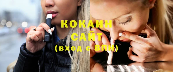 шишки Белокуриха