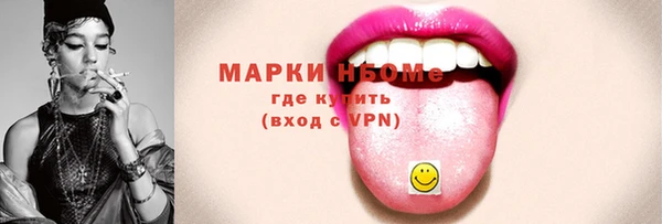 шишки Белокуриха
