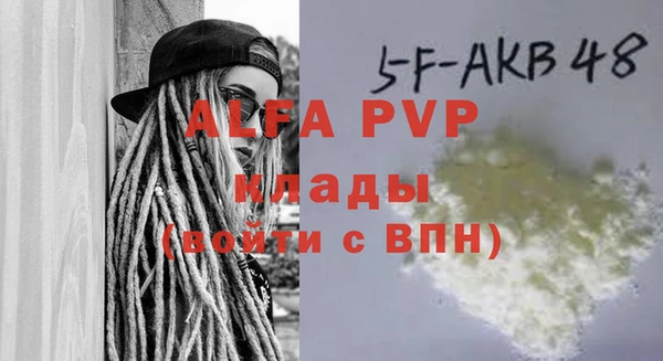 шишки Белокуриха