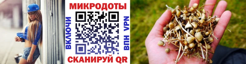 Псилоцибиновые грибы Magic Shrooms  ссылка на мегу вход  Бодайбо 